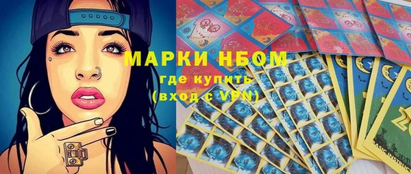 стафф Алексин