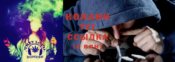 не бодяженный Арсеньев