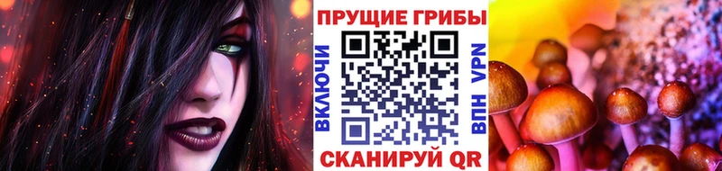 Псилоцибиновые грибы Cubensis  Сарапул 
